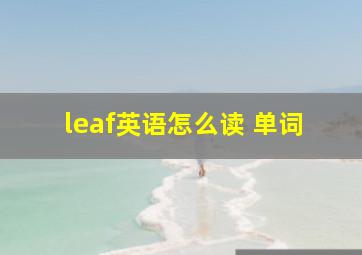 leaf英语怎么读 单词